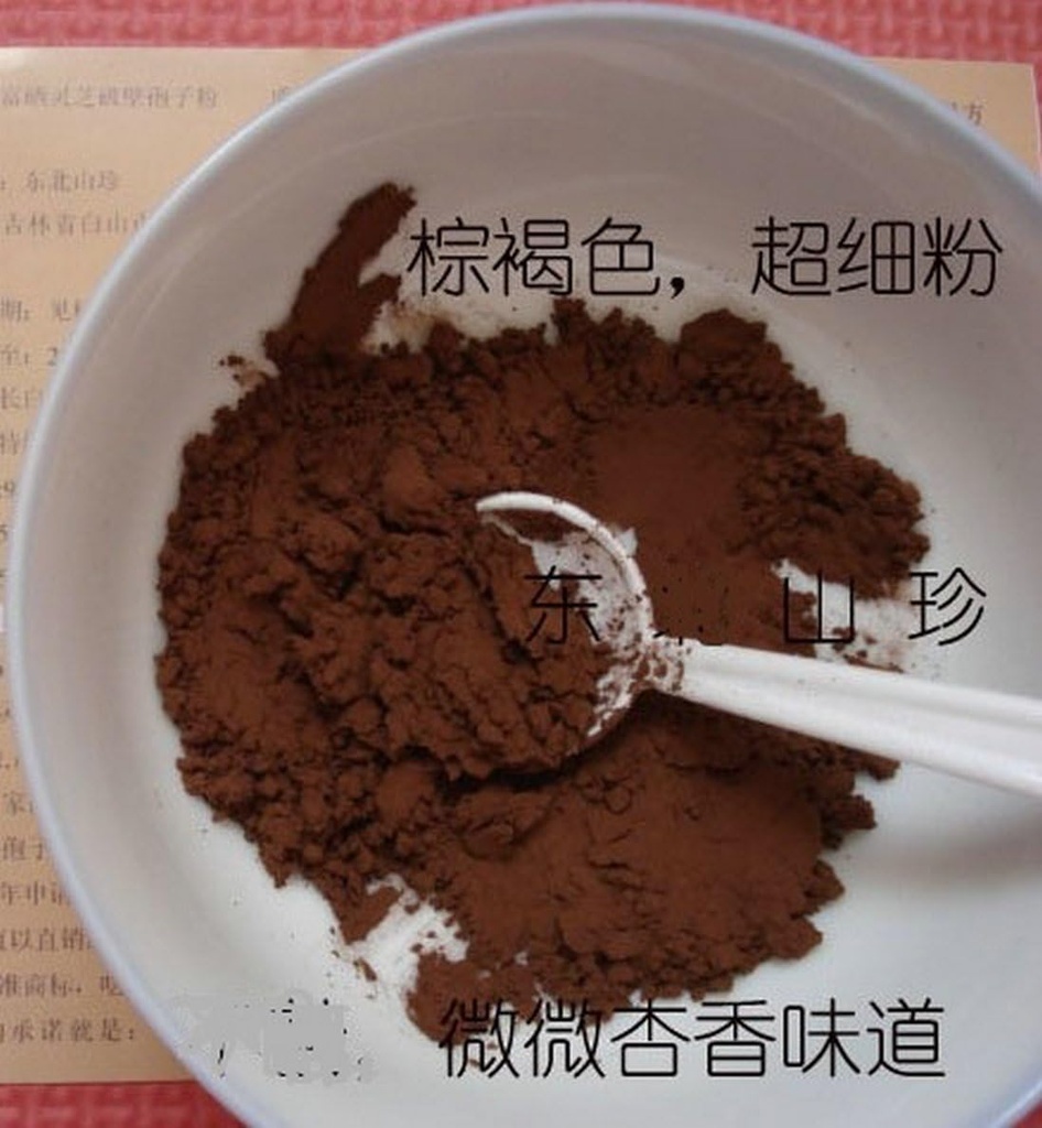 Duan-Wood 98% Shell-Broken LINGZHI Ganoderma Reishi Spore Powder 100Grams (3,5 oz.) Συσκευασία κενού