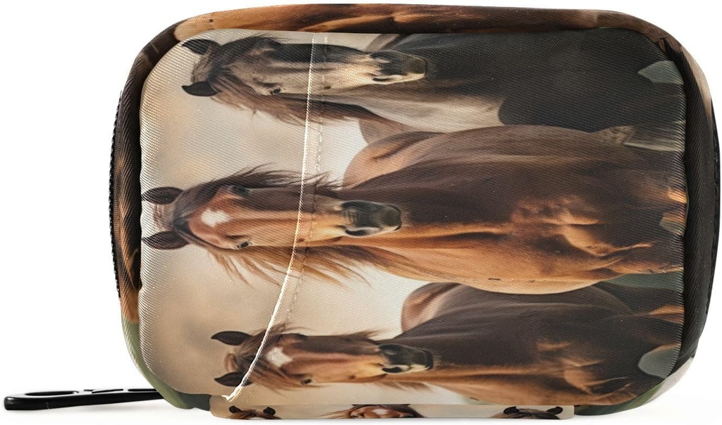 Horse Pill Organizer υπόθεση Portable Weekly Daily Pill τσάντα τσάντα με Zipper για συμπληρώματα Ιατρική Travel Family Business