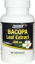 Bacopa Leaf Extract - 500 mg - 60 Καψάκια