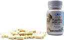 PurePets New Zealand Green Lipped Mussel κάψουλες για σκύλους και γάτες - 200mg x 120 κάψουλες - για Hip & κοινή υποστήριξη - 100% Φυσική Αρθρίτιδα ανακούφιση του πόνου - συμπλήρωμα κινητικότητας Διαχείριση φλεγμονών