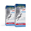 Wellgenix B12 Max Liquid - Βιταμίνη B6, B12 & Folate-High Absorption - Καρδιαγγειακή Υγεία, Διανοητική Καθαρότητα, Ενέργεια Ενίσχυση & Απώλεια Βάρος - 1.75oz, 2 Συσκευασία
