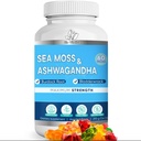 BIO VITALICA Sea Moss Ashwagandha Gummies - Βιολογικό Ιρλανδικό Seamoss & Ashwagandha Root Συμπληρώματα για την υποστήριξη της ενέργειας και της ασυλίας για άνδρες και γυναίκες, 60 Vegan Gummies