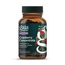 Gaia Herbs Cranberry Concentrate - Traditionally for Helping to Maintain Urinary Tract Health* - Made with Cranberry Fruit Juice Concentrate - 60 Vegan Liquid Phyto-Caps (60 Servings)