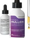 TriGuard MULLEIN Plus - Mullein Leaf Extract, Elderberry Extract & Olive Leaf Extract 2 fl oz 