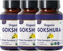 Gokshura 120 δισκία 