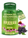 Echinacea Goldenseal Κάψουλες - 10 σε 1 Συμπλήρωμα Υποστήριξης Ανοσοποιητικού - 1455mg - Vegan Echinacea Capsules συμπλήρωμα Made with Organic Whole Foods - Βότανο ανοσοποιητικό σύστημα Υποστήριξη - 2 Μήνες Προσφορά