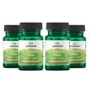 Swanson L. Reuteri Probiotic Plus w/L. Rhamnosus L. Acidophilus & FOS Prebiotic Digestive Support - Προάγει την υγεία των ορνίθων w/ 7 Δισεκατομμύρια CFU ανά κάψουλα - (30 κάψουλες λαχανικών) (4 Συσκευασία)