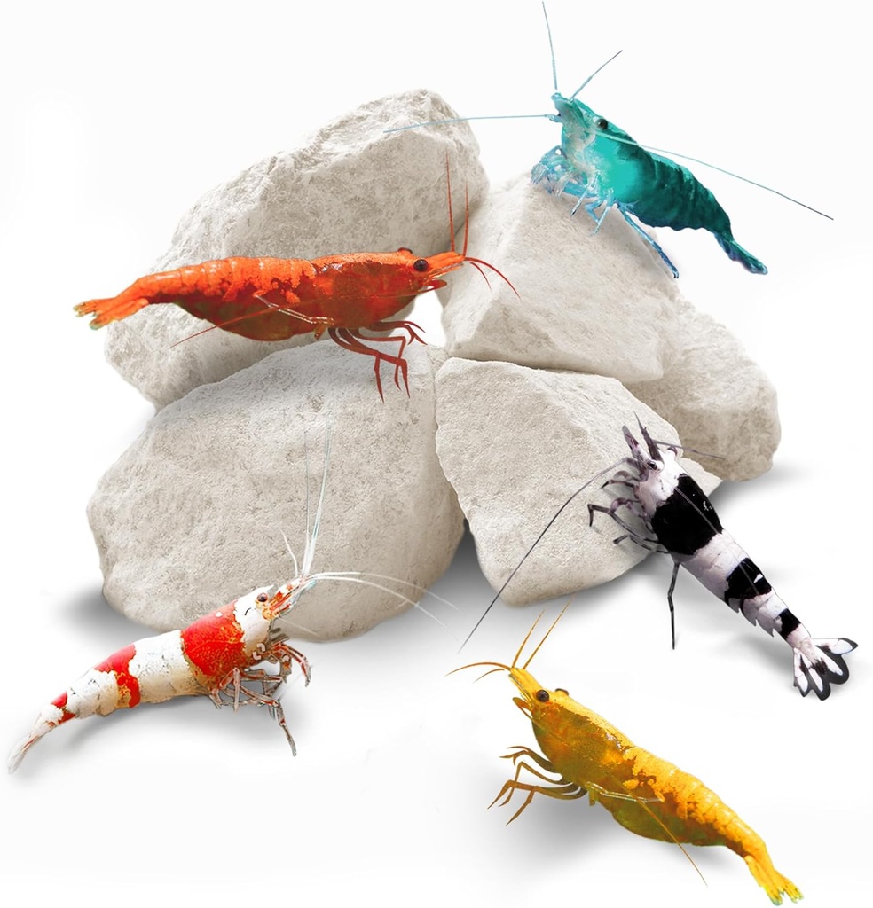 Βράχοι γαρίδας SunGrow, Ασβέστιο, Μαγνήσιο Βράχοι για τις καραβίδες, Hermit Καβούρι, Σαλιγκάρια, Crustacean Care, Ενυδρείο Διακόσμηση για Crystal Red, Amano και Ghost Shrimps, Nano Tank Αξεσουάρ, Fish Tank Προμήθειες