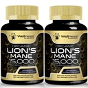 Lions Mane Συμπληρώματα κάψουλες - 120 Count - συμπλήρωμα μανιταριών, Συμπληρώματα εγκεφάλου για τη μνήμη και εστίαση, κάψουλες μανιταριών Lion's Mane Mushroom - Γνωστική & ανοσοποιητική υποστήριξη, συμπλήρωμα εστίασης - 2 Pack