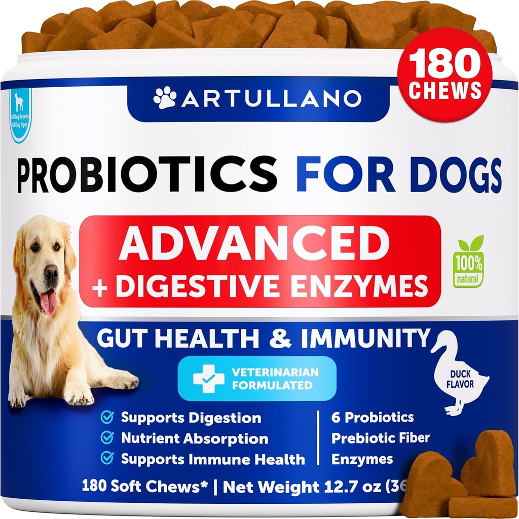 Probiotics for Dogs - Υποστηρίξτε Gut Υγεία, Ichy Δέρμα, Αλλεργίες, Ανοσία, Ισορροπία Yeast - Probiotics Σκύλος και Digestive Ένζυμα με Πρεβιοτικά - Μειώστε Διάρροια, Αέριο - 180 Προβιοτικά Μάσα για Σκύλους