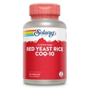 SOLARAY Red Yeast Rice Plus CoQ-10 & No-Flush Νιασίνη Βιταμίνη B-3, Υγιής Καρδιαγγειακή Υποστήριξη, Μηradiδιενεργό & Κιτρινίνη Δωρεάν, 60 ημέρες εγγύηση επιστροφής χρημάτων, 90 υπηρεσίες, 90 VegCaps