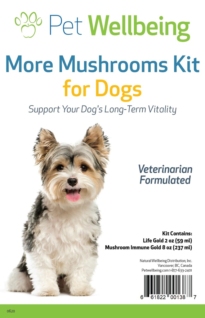 Pet Wellbeing More Κιτ Μανιτάρια για σκύλους - Υποστήριξη ανοσοποιητικού συστήματος και Αντιοξειδωτική Προστασία - Vet-Σχηματίζεται με Turkey Tail, Reishi, Maitake, Astragalus