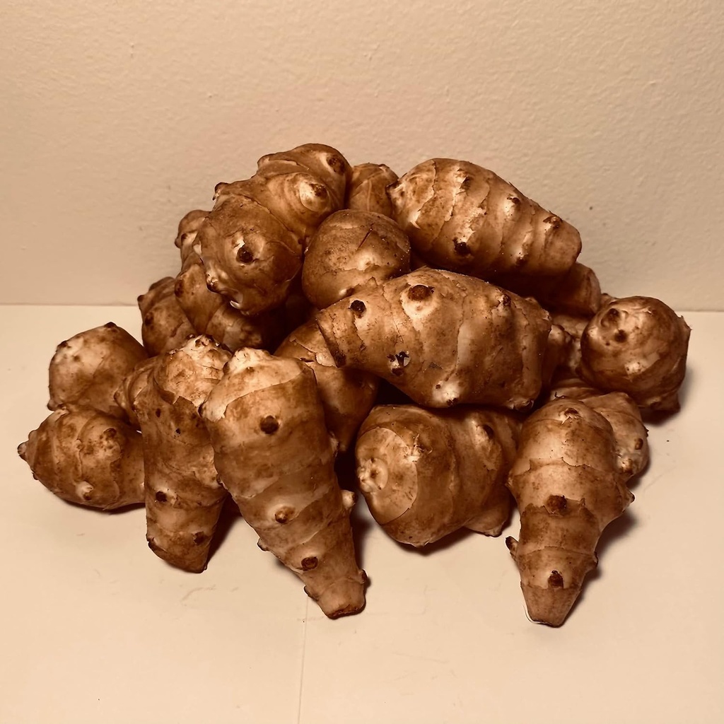 Sunchokes - 5 κιλά (5 κιλά) για τη φύτευση ή την κατανάλωση FEDEX 2Day