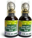 Brazilian Green Bee Propolis and Rain Forest Honey Oral Spray, 2 Bottle Pack