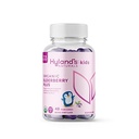 Παιδιά του Hyland Organic Elderberry Plus Gummies, Βιολογικό Black Elderberry με ZINC και βιταμίνη C, Ανοσολογική Υποστήριξη για Παιδιά, 48 Vegan Gummies