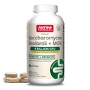 Jarrow Formulas Saccharomyces Boulardii + MOS Probiotics for Digestive Health and Intestinal Tract Support - 5 Billion CFU Per Serving - 90 Καθυστερημένα Καπάκια Κυκλοφορίας - Προβιοτικά + Prebiotic - 90 Servings