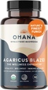 Aloha Medicals Pure Agaricus Blazei 500 mg 90 κάψουλες χορτοφάγων Πιστοποιημένα οργανικά
