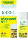 R3SET Tressed Gut Prebiotic Daily Supplement for Gut Health, Heartburn, Bloating, Gas – Συμπληρωματικά προβιοτικά για γυναίκες + άνδρες - τζίντζερ, ρίζα γλυκόριζας, οργανικά μανιτάρια Blend, φυσικός, 28 κόμης