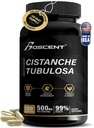 Premium Cistanche Tubulosa Extract 500mg (120 κάψουλες) - 50% Echinacosides,10% Acteosides - Φυσικό Nootropic για Stamina, Ανοσία και Μνήμη - Χωρίς πληρωτικά, Ισορροπία ορμονών - Ενίσχυση για τους άνδρες