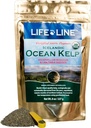 Life Line Organic Ocean Kelp Powder for Cats, Dogs, Livestock, and Horses – Natural Iodine Supplement for Healthy Skin, Coat, and Teeth – Reduces Plaque & Increases Metabolism - 8 oz