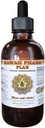 Flax Liquid Extract, Organic Flax (Linum usitatissimum) Tincture Supplement 4 oz