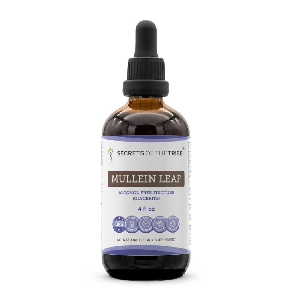 Secrets of the Tribe Mullein Leaf Alcohol-Free Liquid Extract, Mullein (Verbascum thapsus) Timcture Supplement (4 FL OZ)