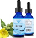 Absonutrix Mullein 300 mg, 4 Oz Liquid, 300 Services, Made in USA, Γρήγορη απορρόφηση, Ισχυρά συστατικά ποιότητας, Μη-GMO, GMP Certified Facility, Σκληρό-ελεύθερο προϊόντα