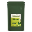 Banyan Botanicals Avipattikar σκόνη – Βιολογικό συμπλήρωμα πέψης με τζίντζερ, κάρδαμο και Vidanga --– Υποστηρίζει Υγιεινή ισορροπία στο στομάχι * – 1⁄2 lb. – Μη ΓΤΟ Βιώσιμα πηγάζει Vegan