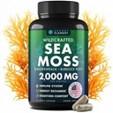 Sea Moss Capsules with Burdock Root, Bladderwrack & Muira Puama – Plant-Based Sea Moss Supplement with Raw Powder – 120 Capsules