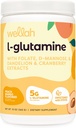 Wellah L-Glutamine Ροδάκινο Μάνγκο (50 Σερβίρει) - 5g L-Γλουταμίνη ανά υπηρεσία, Γλυκασμένο με Stevia