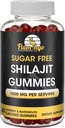 Χωρίς ζάχαρη Shilajit Gummies (1000mg σερβιρίσματος) - Φυσικό Ιμαλαΐων Βιολογικό Fulvic Acid Shilajit συμπλήρωμα για άνδρες και γυναίκες -60 Gummy Chews
