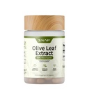 Snap Συμπληρώματα Olive Leaf Extract Κάψουλες - Σούπερ δύναμη 40% Oleuropein για την υποστήριξη της ροής του αίματος, βελτίωση της πέψης, αντιοξειδωτικό συμπλήρωμα ενίσχυσης, βελτίωση της λειτουργίας του εγκεφάλου (60 κάψουλες)