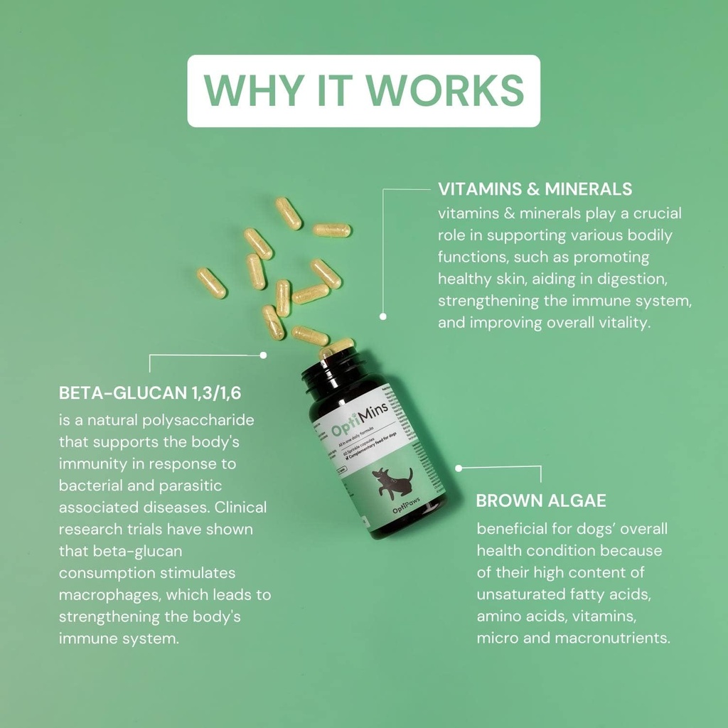 OptiMins Dog Vitamin & Mineral Capsals - Βασικά θρεπτικά συστατικά για την υγεία - Ζωτικότητα & Ανοσολογική Υποστήριξη - Πολυβιταμίνη, Αμινοξέα, και Ορυκτά για το δέρμα, την πέψη και την υγεία της καρδιάς