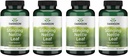 Swanson Stinging Nettle Leaf (Urtica Dioica) - Herbal Supplement Promoting Urinary Tract & Respiratory Health Support - May Support Healthy Fluid Balance - (120 Capsules) (4 Pack)