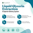NerveFactor - Advanced Nerve Support Supplement - Liquid Delivery for Better Absorption - Acetyl-L-Carnitine, Alpha Lipoic Acid, Vitamin B12, Folic Acid, White Willow Bark & More!