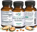 GLX3 Extra Strength Green Lipped Mussel Oil Capsules - Long-Lasting Joint Comfort Supplement - Υποστήριξη για πόνους, πόνο - Φυσικά πλούσια σε Omega 3 & Chondroitin Sulfate 180 δισκία