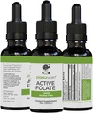 Active Folate Pure Liquid Extract Supplement - L-Methylfolate για Καλύτερη Απορρόφηση, Εγκεφαλική Υγεία, Βελτίωση της Κυτταρικής λειτουργίας, Υποστήριξη ανοσοποιητικού συστήματος, Νερό Soluble B Complex, 1oz - by Ziggy Health