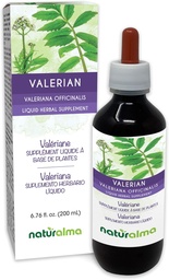 Naturalma Valerian (Valariana officinalis) Ρίζα Αλκοόλ-ελεύθερο Βάμμα - 6.76 fl oz Liquid Extract in Drops - Βότανο συμπλήρωμα - Vegan