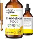 Άγρια & οργανικά Dandelion Root Extract Drops - Liver Cleanse Detox Υποστήριξη - Dandelion Βάμμα για την υγεία του ήπατος - Vegan, ζάχαρη & αλκοόλ-ελεύθερο συμπλήρωμα υγρού - 4 fl oz