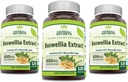 Herbal Secrets Boswellia Serrata Extract (65% Boswellic Acids) 600 mg Capsules Supplement | Non-GMO | Gluten Free (120 | 3 Pack)