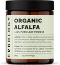 Erbology Organic Alfalfa Powder 3.2 oz - 45 Σερβίρει - Υποστηρίζει την υγεία των οστών και των ούρων - Πλούσια σε βιταμίνη Α, ασβέστιο και σίδηρο - Με βιώσιμο τρόπο πηγάζει κατ 'ευθείαν από τη γεωργία - Μικρή παρτίδα - Vegan - GMO-free