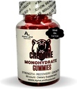 Creatine Monohydrate Gummies - 5g- 30 Σερβίρεις - Vegan Creatine Gummy Bears για την ανάπτυξη των μυών, την αποκατάσταση των μυών, την αποκατάσταση προπόνησης, την υγεία του εγκεφάλου - Δεν φάση φόρτωσης - Δεν Bloating