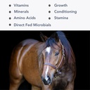 Mega-Mag (25lb) Ισορροπημένο Multi Vitamin / Mineral συμπλήρωμα για τη διατροφή Alfalfa Hay