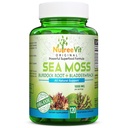 NutreeVit 100% Organic - Sea Moss + Bladderwrack + Burdock Advanced Superfood Formula (60 Capsules)