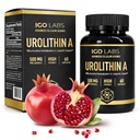 Urolithin A Capsules 500mg - 1000mg Per Serving Mitochondrial Support Supplement for Cellular Renewal - Longevity Wellness Capsules - High Purity Urolithin A Supplement - 60 Caps