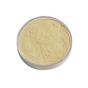 Urolithin A Powder 20 Grams, Purity Above 99% - for Healthy Aging, Cellular Renewal, Muscle Strength, Antioxidants and Mitochondrial - Lab Tested High Purity & Potency
