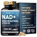 NAD Supplement 11-in-1 Extra Strength – Liposomal NAD with Resveratrol, CoQ10, Urolithin A, ALA & Turmeric – Supports Anti-Aging, Cellular Repair, Energy & Focus – for Women & Men – 60 Capsules