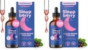 JoySpring SleepBerry - Kids Melatonin Liquid - 3MG Melatonin with D3 and Elderberry - Sugar-Free Liquid for Kids & Teens – Gentle Natural Sleep Support Formula (4 fl oz) (Pack of 2)