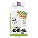 Plantvital Organic Moringa Leaf Capsules 500mg - Superfood Antioxidant Support for Eye Health- Moringa Powder Organic- Breastfeeding Supplements and Normal Lactation Support -120 Vegan Capsules