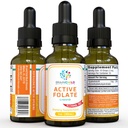 BrainChild Nutritionals Active Folate Pure Liquid Extract Supplement - L-Methylfolate for Better Absorption, Improve Cellular Function, Support Immune System, Water Soluble B Complex, 1oz